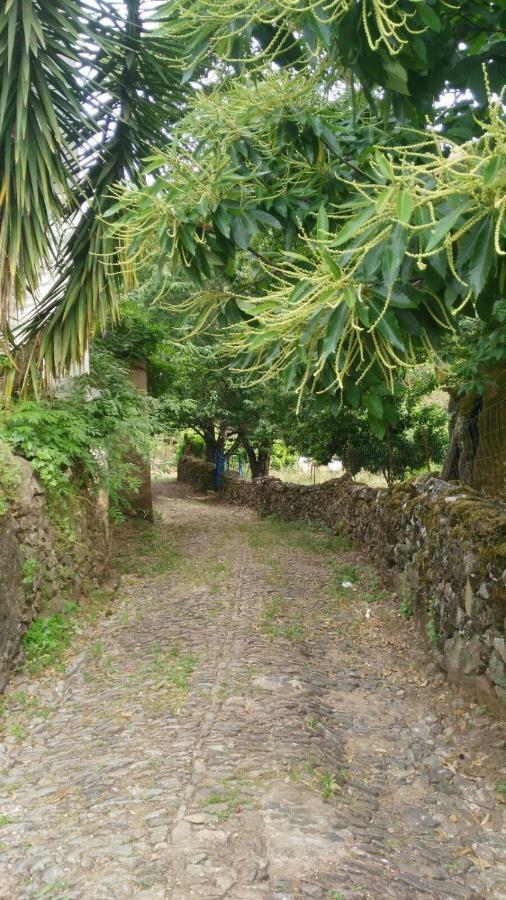 Apartamento Casa Tita Aguafria Bagian luar foto